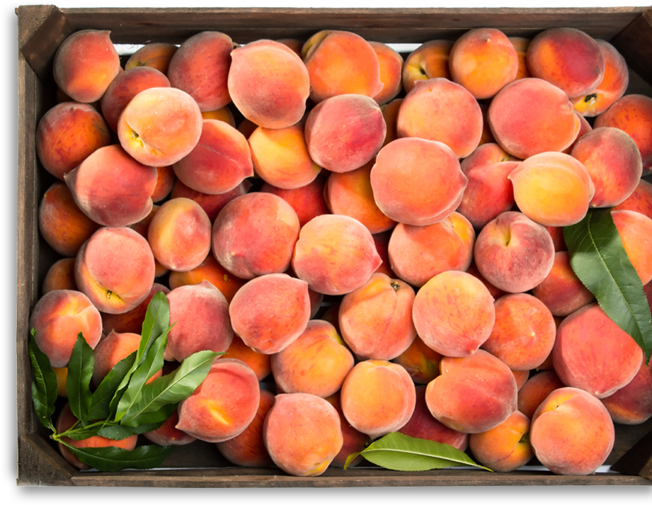Home Peaches Box