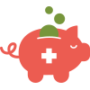 Icon Health Savings Account